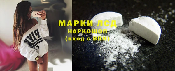 прущие грибы Богданович