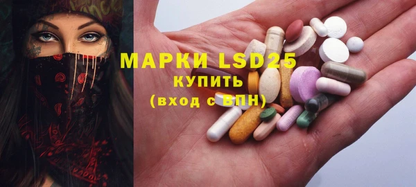 гидра Богородицк