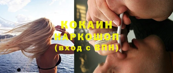 бошки Бородино