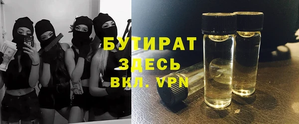 гидра Богородицк