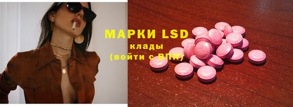 прущие грибы Богданович