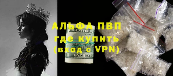 прущие грибы Богданович