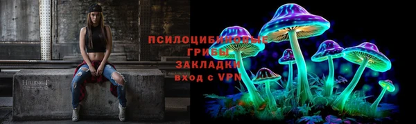 jwh Богородск