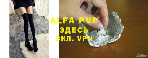 гидра Богородицк