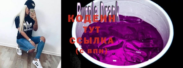гидра Богородицк