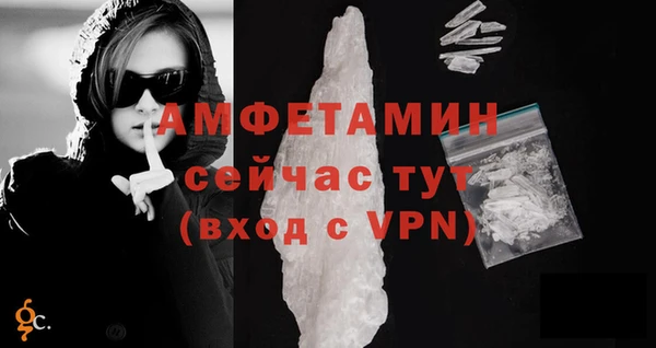 гидра Богородицк
