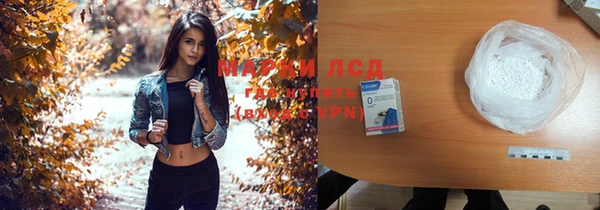 прущие грибы Богданович