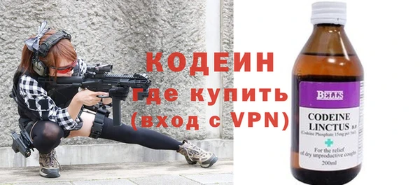 прущие грибы Богданович