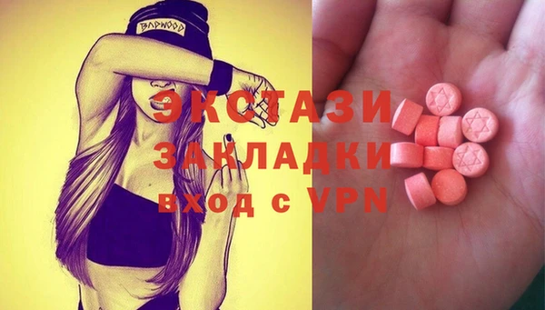 гидра Богородицк