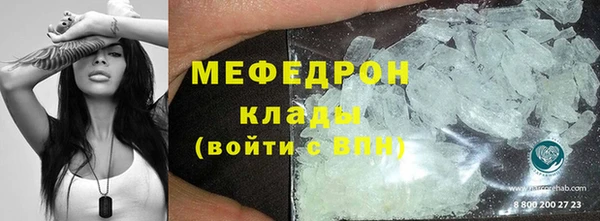 прущие грибы Богданович