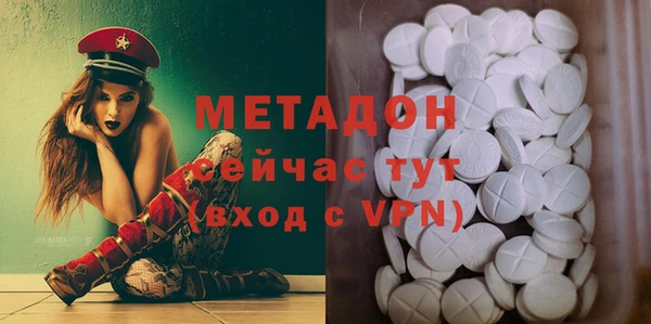 прущие грибы Богданович
