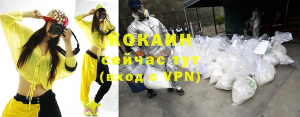 гидра Богородицк